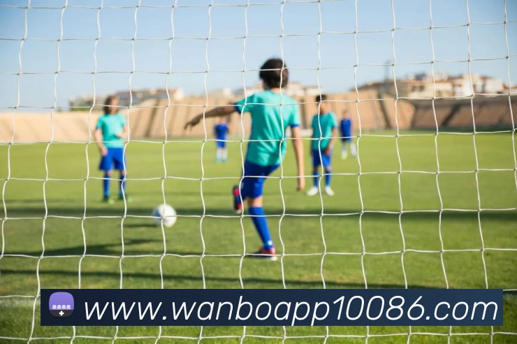 多媒体互动体验