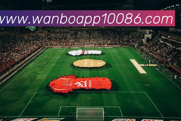 万博体育APP 高清赛事图